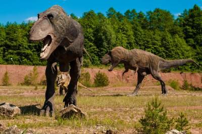 50 Fakta Aneh Tentang Dinosaurus yang Mesti Kamu Tahu!
